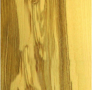 Ясень оливковый